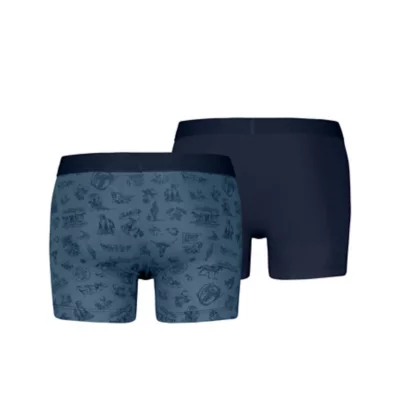 Boxer Garçon Coton Imprimé Western Vintage – Taille 2, Neuf Avec étiquettes
